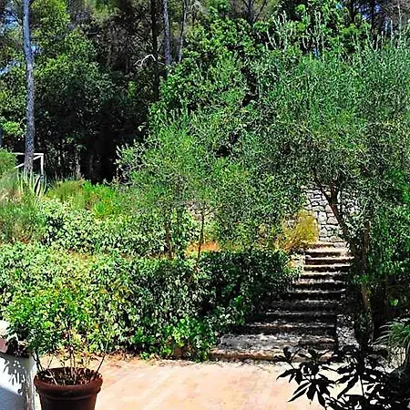 Bed and breakfast Al Cavalluccio Marino Monte Marcello