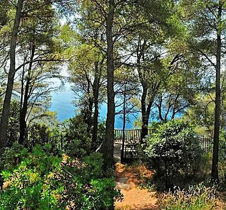 Bed and breakfast Al Cavalluccio Marino Monte Marcello