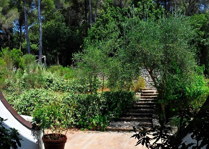 Al Cavalluccio Marino 4* Monte Marcello